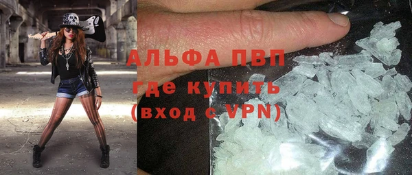 индика Ачинск