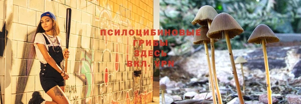 mdpv Михайловск