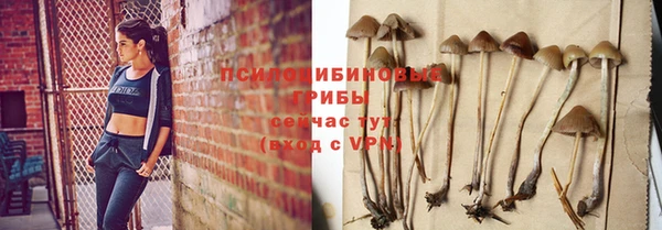 мдма Бердск