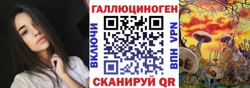Купить закладки  Кизилюрт  Псилоцибиновые грибы прущие грибы 