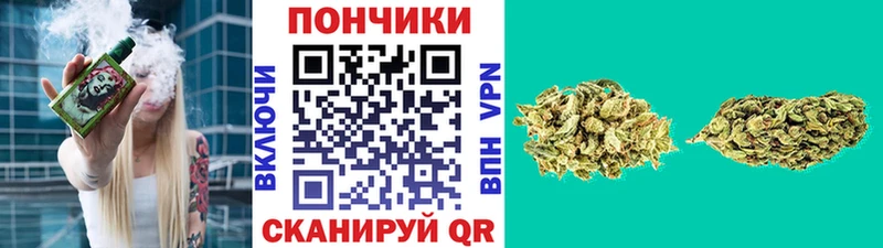 Купить закладки  Кизилюрт  Шишки марихуана Amnesia 